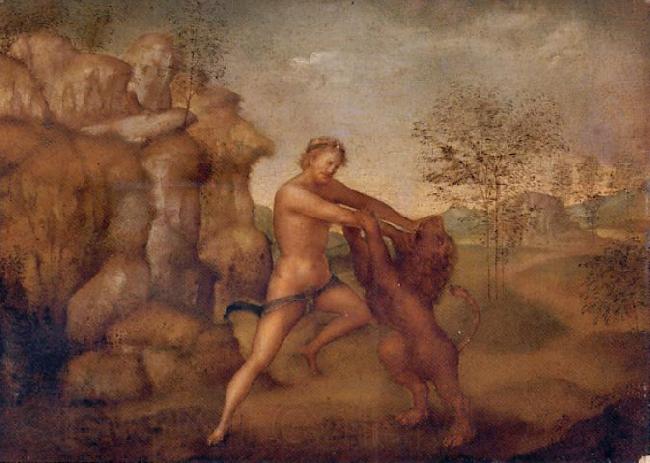 unknow artist Hercules and the Nemean Lion, oil on panel painting attributed to Jacopo Torni Germany oil painting art